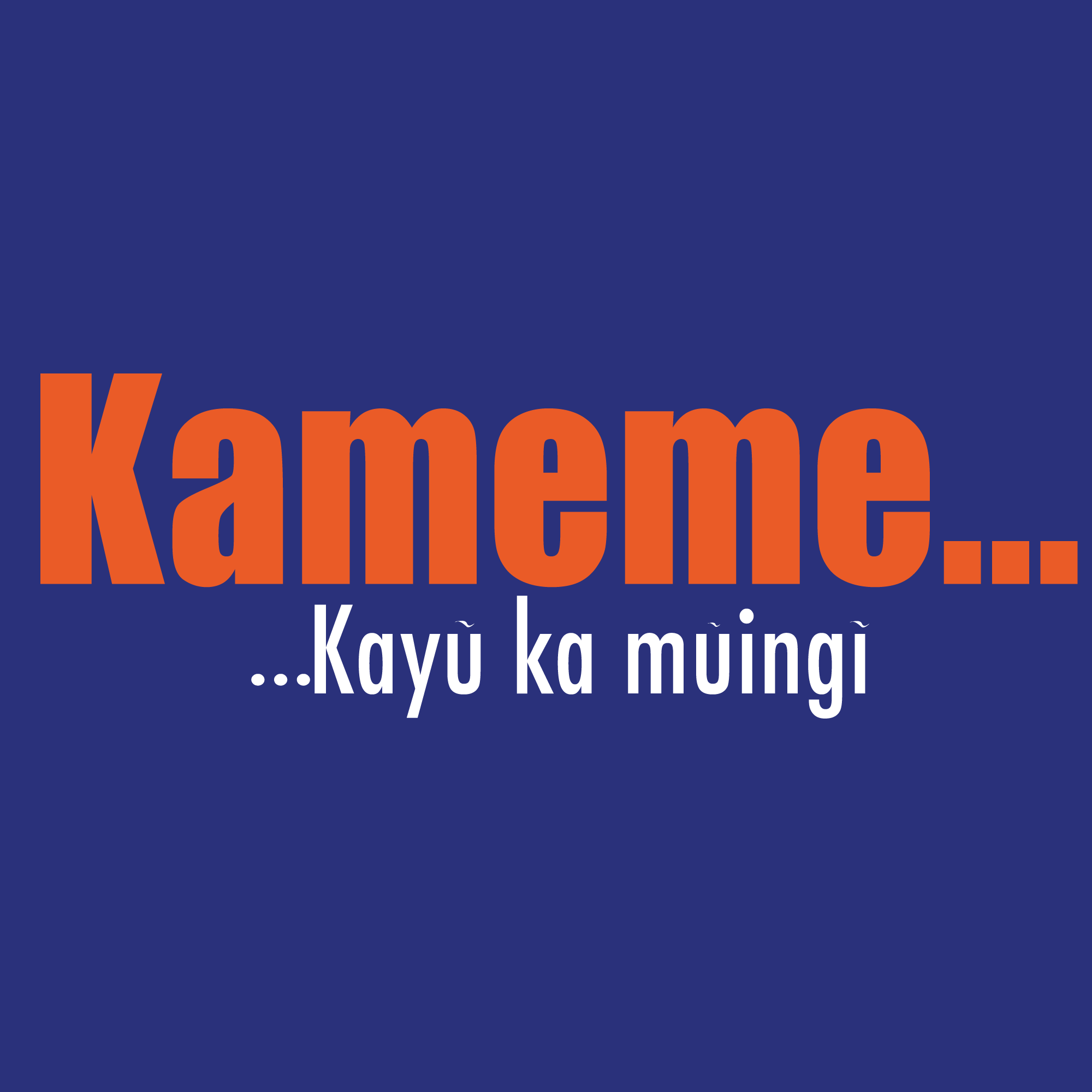 Kameme FM Brand Logo